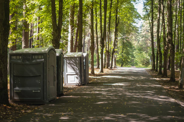 Best Best portable toilet rental  in Blissfield, MI